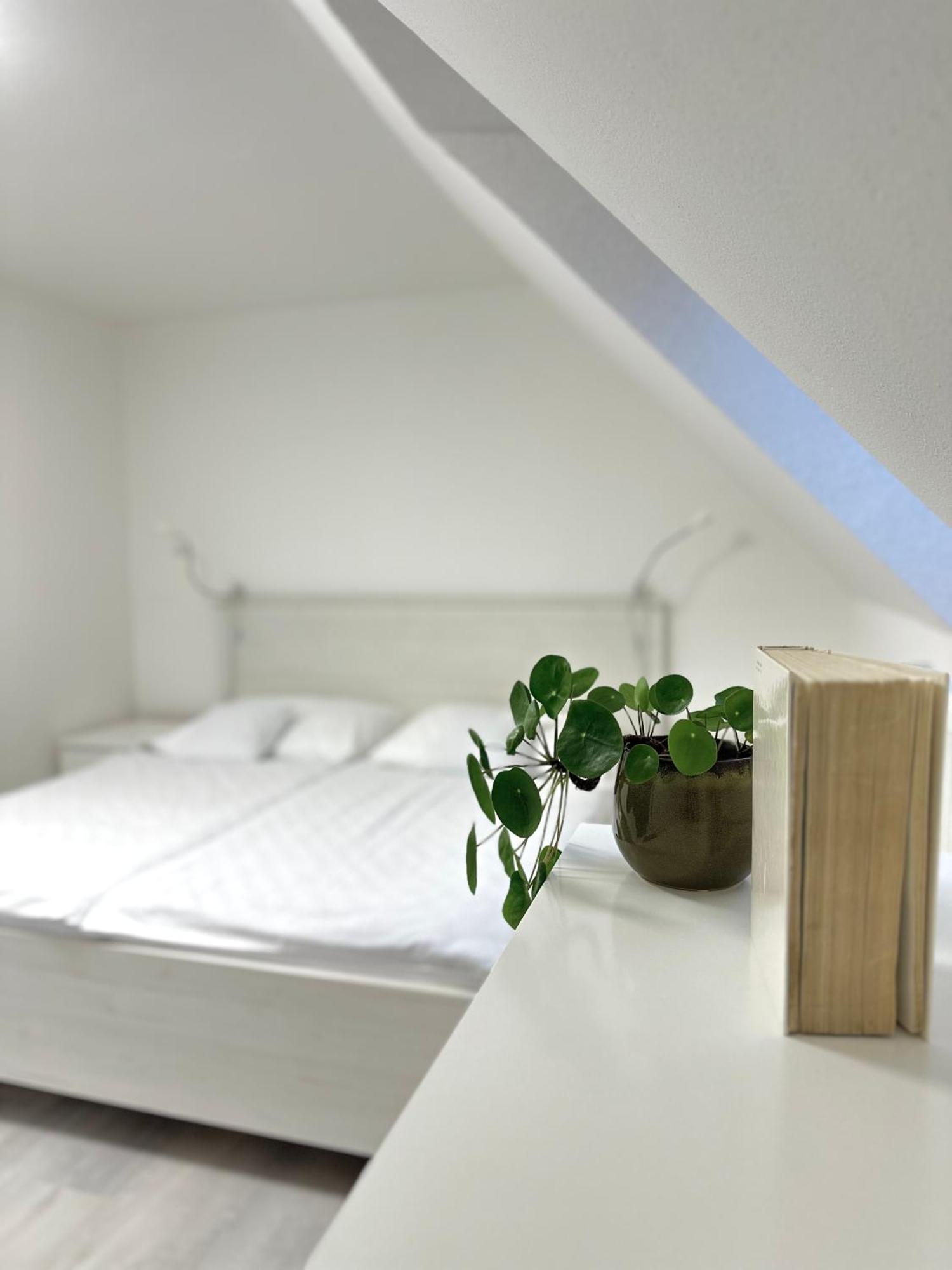 Apartment Nela Pavčina Lehota 외부 사진